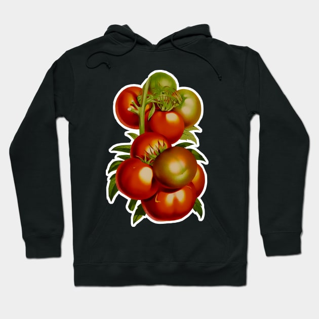 Tomato Hoodie by Marccelus